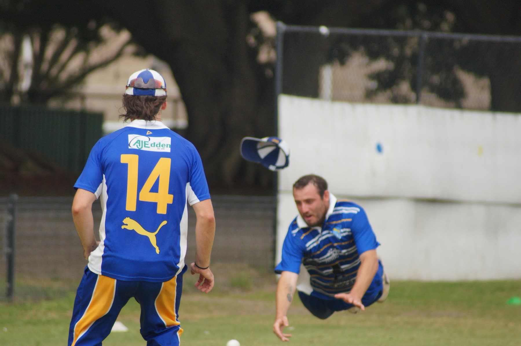 A diving catch attempt in the field